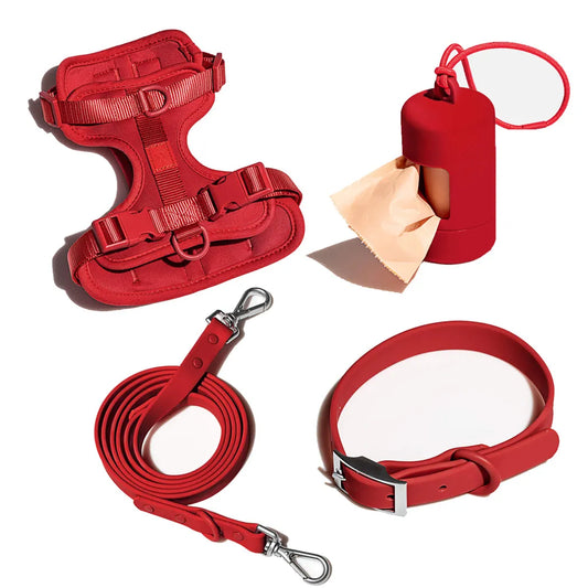 Dog Harness and Leash Set